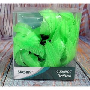 Glowing Green‎ Caulerpa Taxifolia Aquarium Plant Decoration